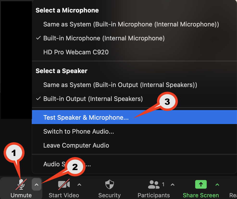 Zoom Desktop App muting mic and opening audio testing.